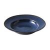 Mino Ware Suitable for or Other Approximately 24cm In Microwave and Dishwasher Featuring the Sea Cucumber Made In Product Number "miyama" Dish, Curry,