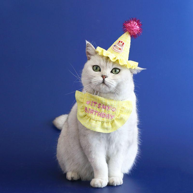 Pet Birthday Hat Bib Party Hat Cat Puppy Lace Saliva Towel Dog Bandana Scarf Dog Birthday Dress Up Photography Props Supplies