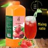 OIMG Commercial Concentrated Fruit Juice Concentrate