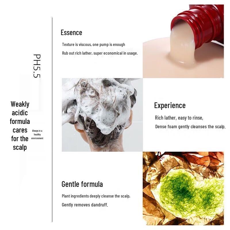 B2v Rotalgen Silikonfreies Shampoo