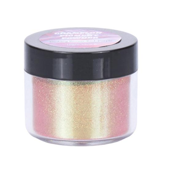 5g Excellent Wide Application Portable Manicure Powder Makeup Nail Art Pigment Glitter for Salon