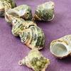 10Pcs, Natural Dyed Conch Zinc Alloy Golden Edge Pendant Charms for DIY Unisex Necklace Accessories, Creative Jewelry Making, Crafts for Holiday Gifts