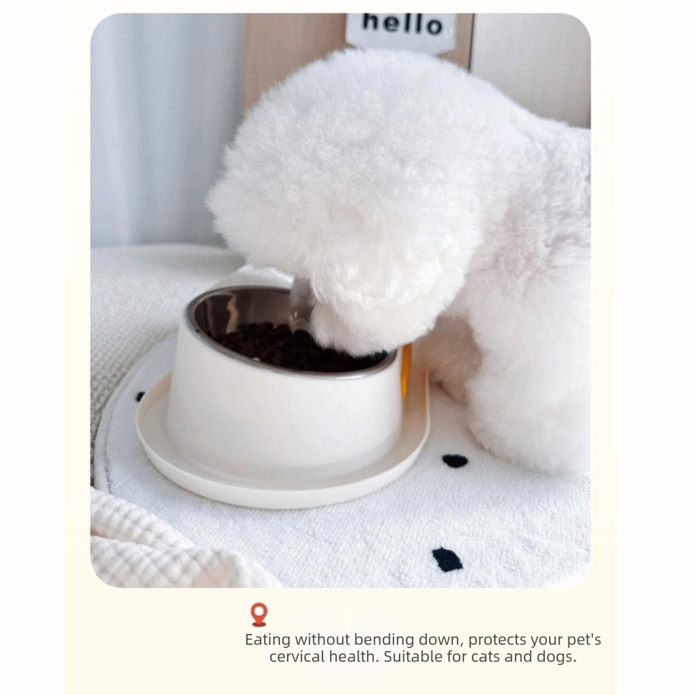 Stainless Steel Dog Double Bowl Large Capacity Anti Slip Pet Drinking Bowl with Stand Detachable Anti Knock Elevated Pet Feeder