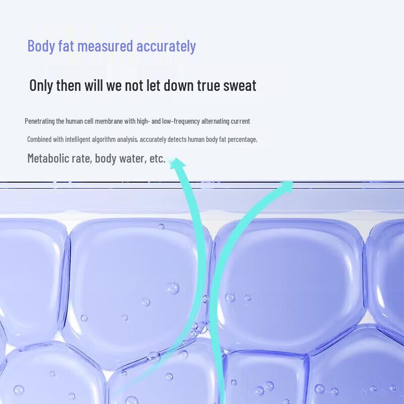 BEAR Smart Body Fat Scale (CN Version)