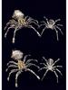 Spider King Plus 3D Metal Puzzle: Mechanical Insect Assembly Toy for Kids