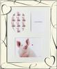 LADONNA Living Photo Frame, White, 6-cut, 3-window, NP08-06-WH
