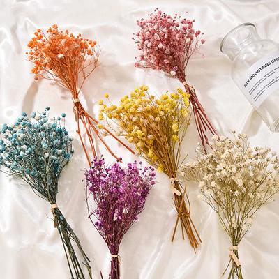 Wedding Decor Photo Props Real Flower Mini Babysbreath Natural Dried Bouquets Plant Stems