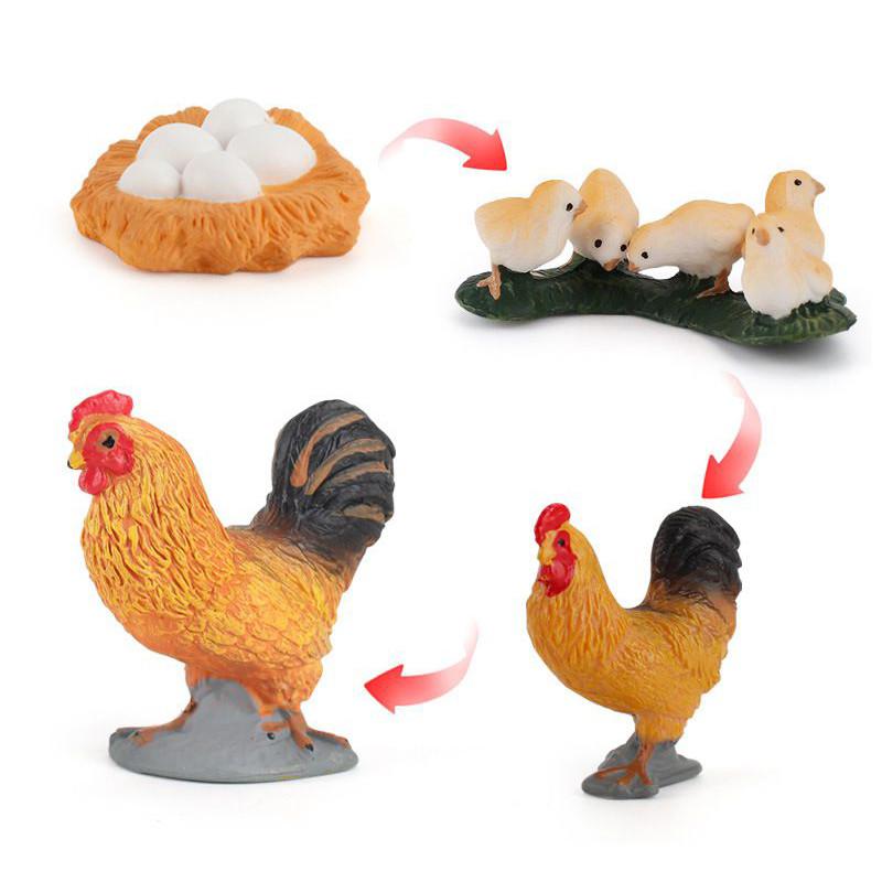 Enchanting Simulation Solid Turtle Chick Frog Animal Growth Cycle Montessori Teaching Aids For Unique Gifts And Decorative Accents