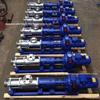 G30-1 High Flow Sludge Thickener 304 Stainless Steel Screw Pump with Variable Frequency Motor