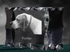 English Pointer I - Crystal with a Picture of a Dog, Glass Statuette with a Picture, Unique Frame with a Picture from Art-Dog Brand