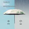 Paradise UV Protection Folding Umbrella