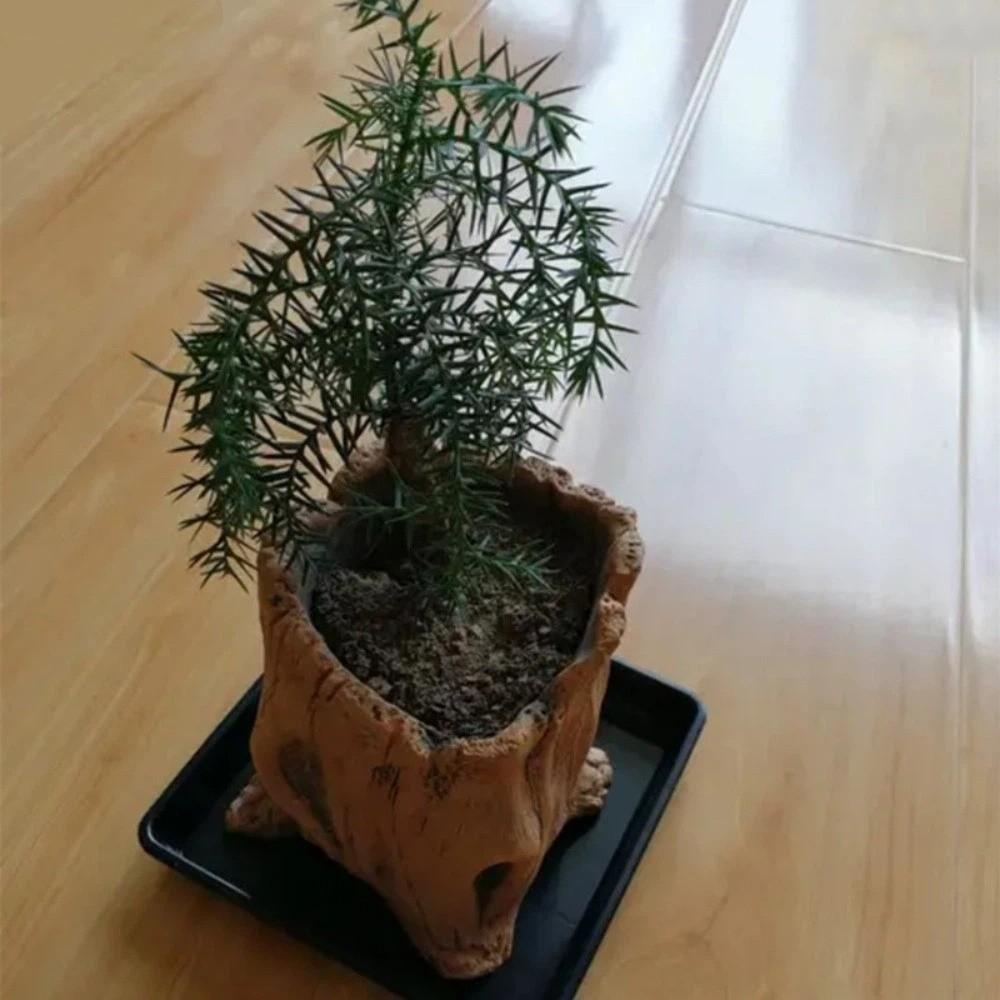 Irregular Tree Stump Shape Imitation Wood Flowerpot Cement Pile Log Planter Gardening