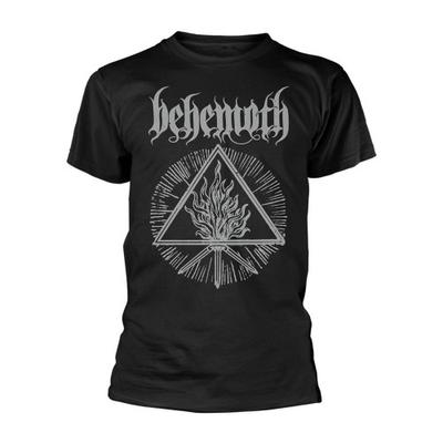 Behemoth Unisex Adult Furor Divinus T-Shirt