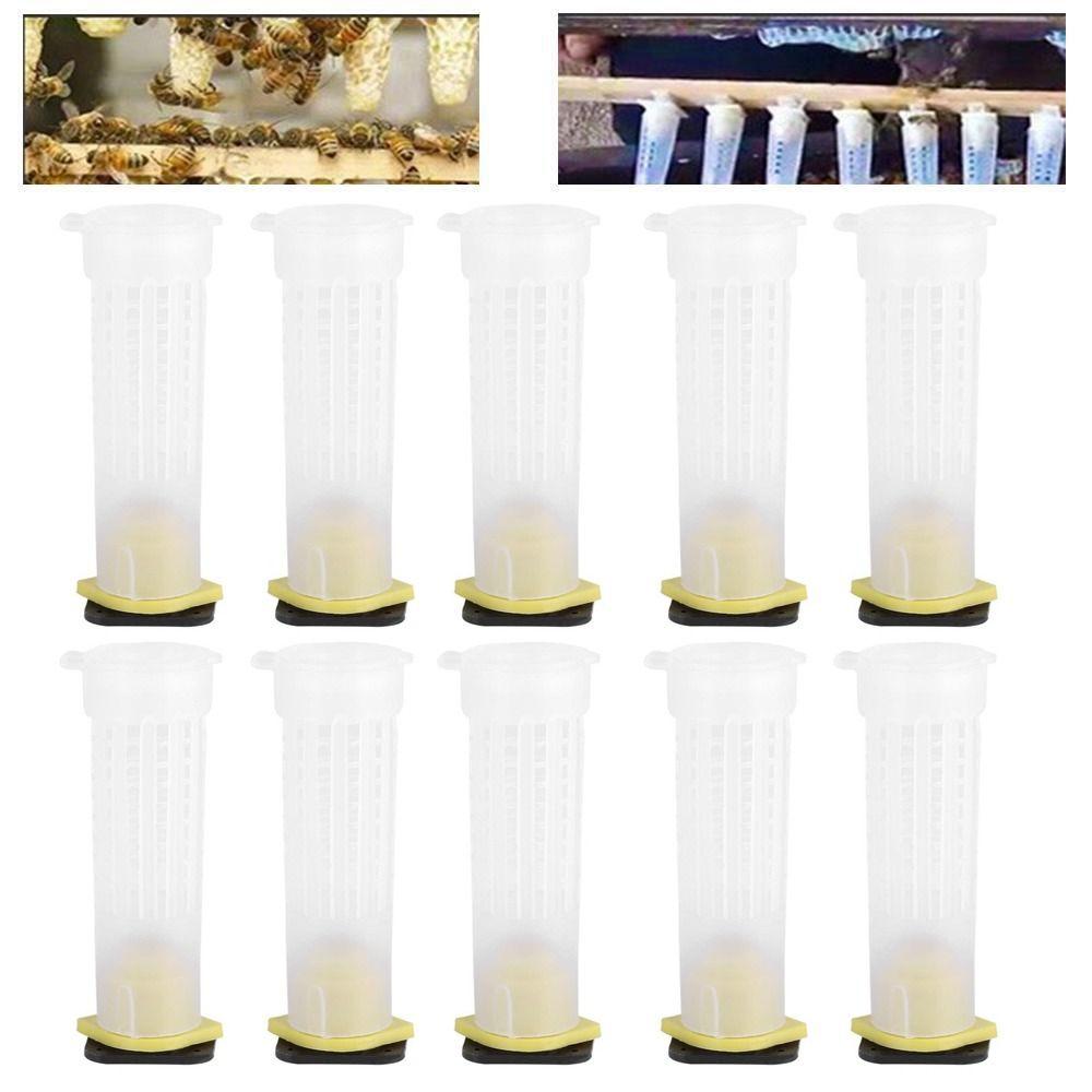 

Пластиковые инструменты для пчел, оборудование для пчеловода, предотвращающее укусы пчел, клетки для пчеловодства, защитный чехол