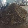 Organic Flower & Herb Seedling Peat Soil - Lightweight Nutrient-Rich Substrate for Vegetables