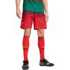 Puma Pantaloncini autentici AC Milan x OFF-WHITE 783002-02