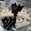 Hairpin Animal Hair Clip Cartoon Dog Shark Clip Personalized Puppy Hair Claw  Daily