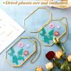 Octagonal Geometric DIY Glass Pressed Flower Hanging Frame - Modern Floating Transparent Photo Display