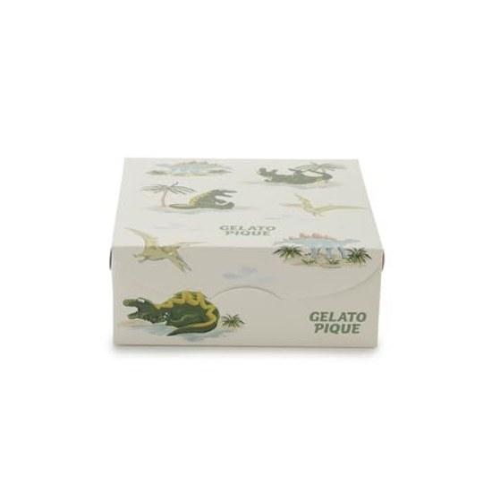 Gelato Pique HOMME Sleeping Dinosaur Pattern Underwear Box PMCP262923 Mens