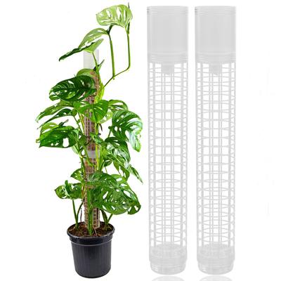 Automatic Watering Plant Supporting Climbing Moss Pole Continuous Moisture Pole Supports for Climbing Plants Monstera