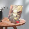 Vintage Wooden Vinyl Record Holder - Home Office Desktop LP Record Display Stand CD & Albums Storage Shelf Rack