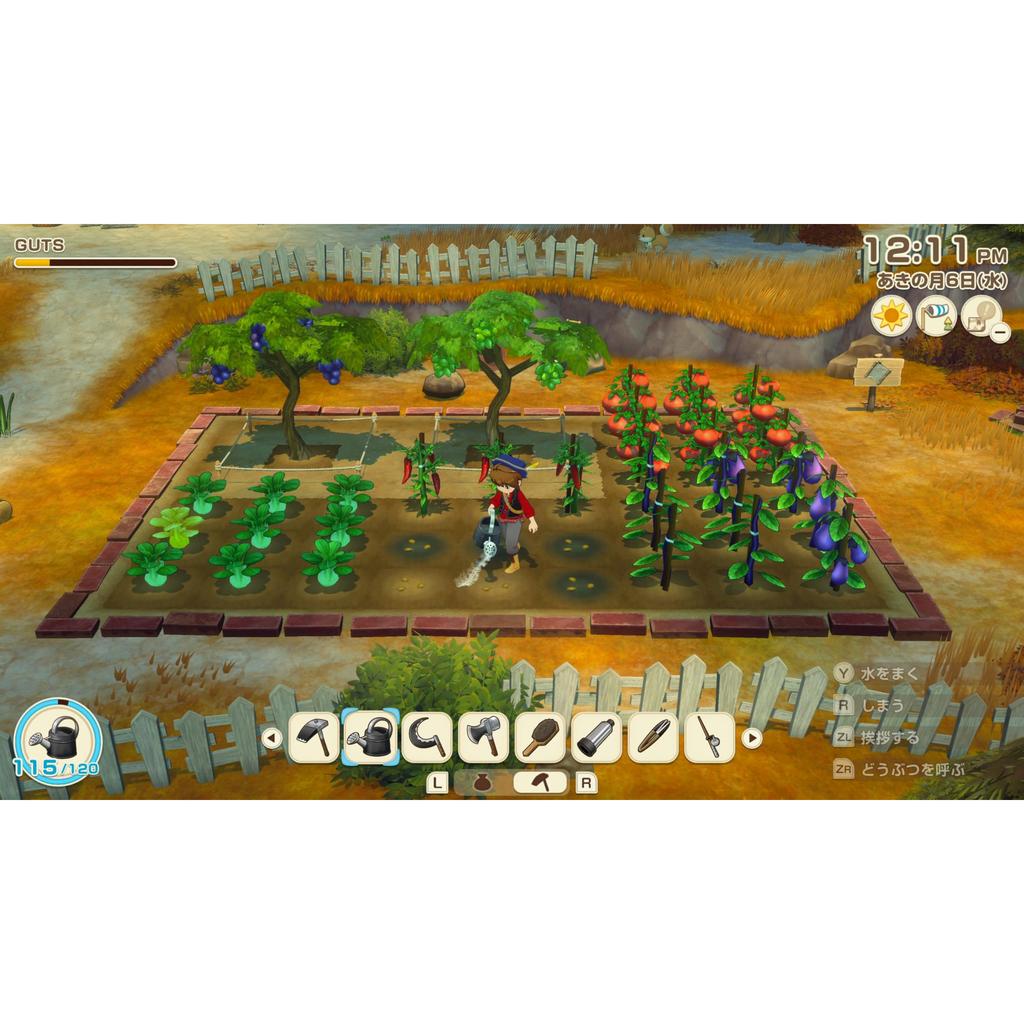 Story of Seasons Let's Go! Wind's Grand Bazaar Nintendo Switch 2 Edition - Switch2 (Japanese Edition)