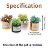 Mini Plastic Succulent Pots Small Succulent Pots Funny Plant Pots Doll House Decor Fairy Garden Micro Landscape Desk Accessories