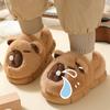 Capybara Kids’ Cozy Furry Slippers - Non-slip, Soft Sole, Indoor Warmth for Boys and Girls (Autumn/Winter).