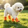 Adjustable Straps Outdoor Soft Anti-Slip for Small Dogs Chihuahua Teddy Soft Pet Dog Breathable Net Shoes Hollow Out Dog Shoes