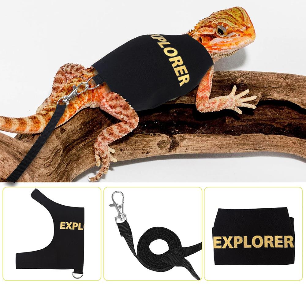 Justerbar Reptil Øgle Bånd Sele for Gåtur Utendørs