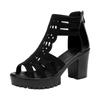Fashion Summer Women's Breathable High Heel Shoes Women's Peep Toe Platform Chunky Heel Sandals Outdoor Zip Dress Party Heeled Shoes