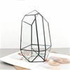 Micro Ecological Geometric Glass Terrarium Handmade Geometric Plant Vase Modern Planter for Moss Succulents Tabletop Greenhouse