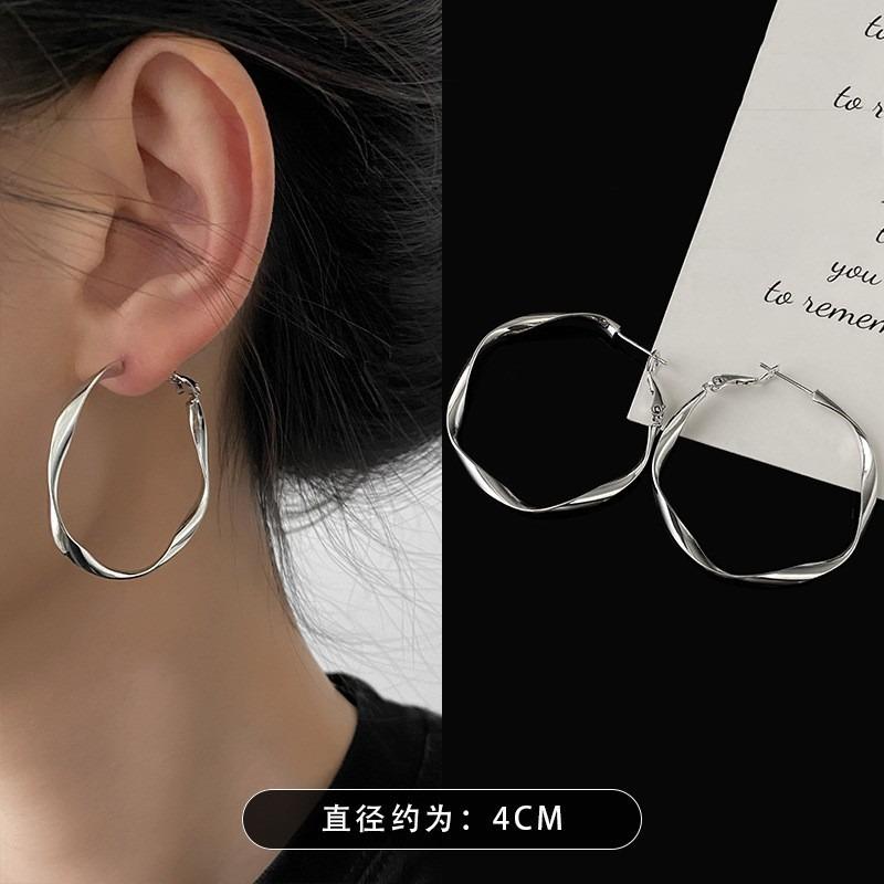 Silver Needle Autumn and Winter Metal Earrings Earrings Niche Fashion Cold Wind Earrings Versatile Light Luxury Premium Earrings