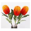 Artificial Banksia Flower Innovative Simulation Light Luxury Artificial Flowers Decorations for