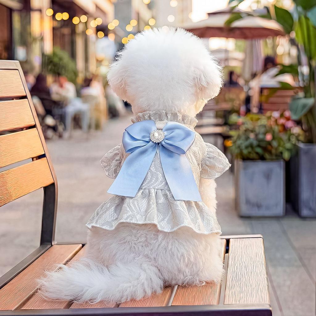 Spring Pet Dog Princess Dress Cute Lace Tutu Skirt Big Bowknot Short Sleeve Vest Dog Clothes for Small Dogs Puppy