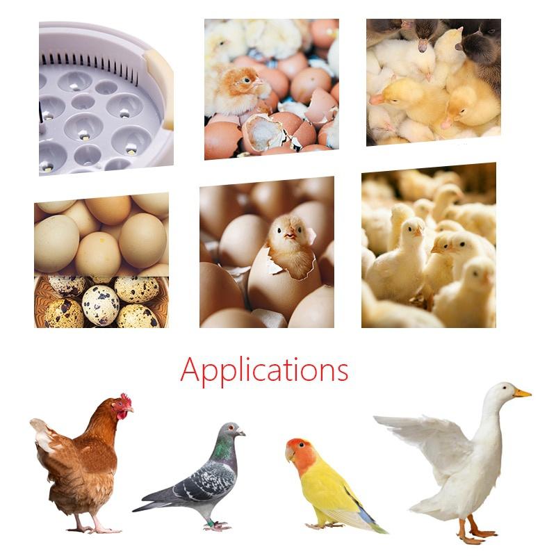 110V/220V Yumurta Kuluçka Makinesi LED Otomatik Civciv Çıkarma Makinesi Sıcaklık Kontrollü Dijital Kuluçka Makinesi 9 Yumurta Mini Civciv Büyütme Makinesi Kanatlı Kuş