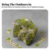 Artificial Moss Rock Lightweight Decor Weathered for Garden Decoration