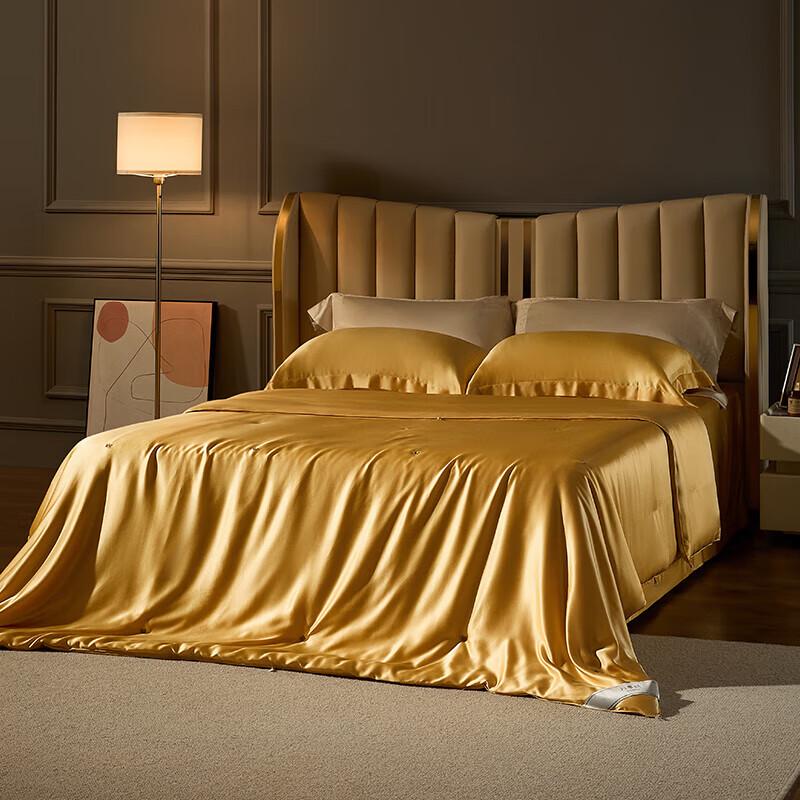 Wanshili 100% Long-Filament Mulberry Silk Quilt Collection