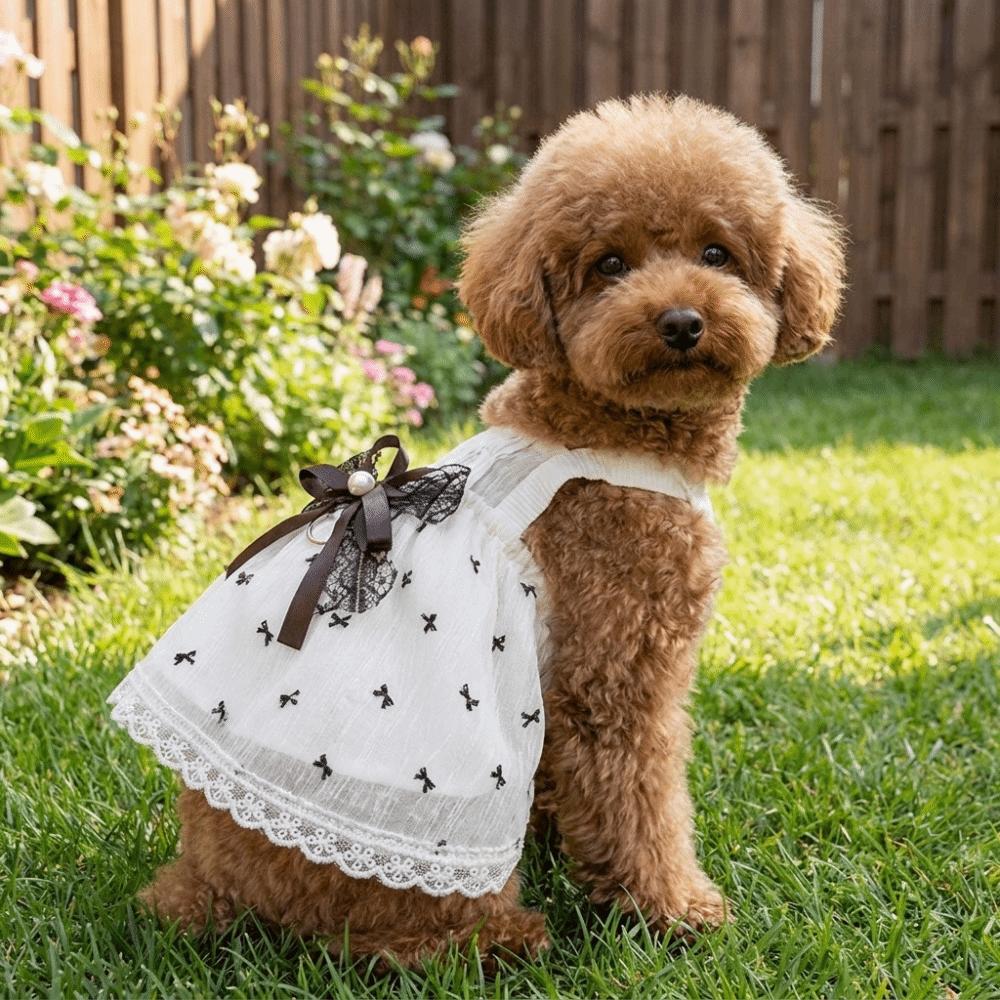 Breathable Pet Lace Bowknot Dress Lace Ruffle Hem Pet Tank Dress Pet Mesh Camisole Skirt  Party