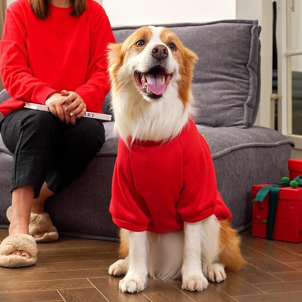 Cute Cartoon New Year Dog Clothes Lion Dance Warm Cat Puppy Pullover Thickened Bear Pattern Winter Warm Coats Chinese New Year