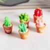 5Pcs Miniature Plants Cactus Bonsai for Dollhouse Decor Horticultural Bonsai DIY Small Miniature Figurines Ornaments