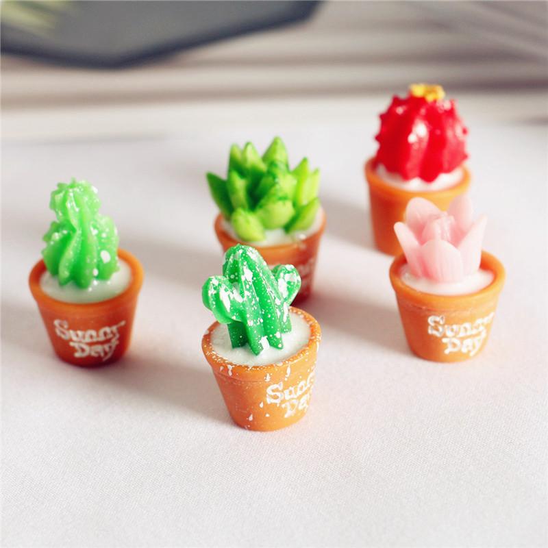 5Pcs Miniature Plants Cactus Bonsai for Dollhouse Decor Horticultural Bonsai DIY Small Miniature Figurines Ornaments