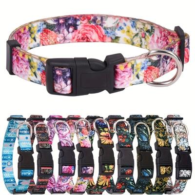 Köpek – Köpek Tasmaları ve Tasma Kayışları