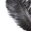 BDSM Feather Teaser Wand with Black Feathers Soft Sensual Tickler for Couples' Foreplay & Roleplay Lightweight Discreet Adult Toy for Intimate Play &