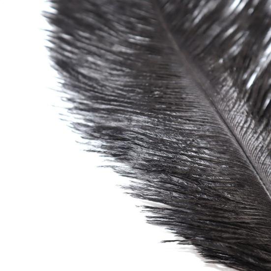 BDSM Feather Teaser Wand with Black Feathers Soft Sensual Tickler for Couples' Foreplay & Roleplay Lightweight Discreet Adult Toy for Intimate Play &