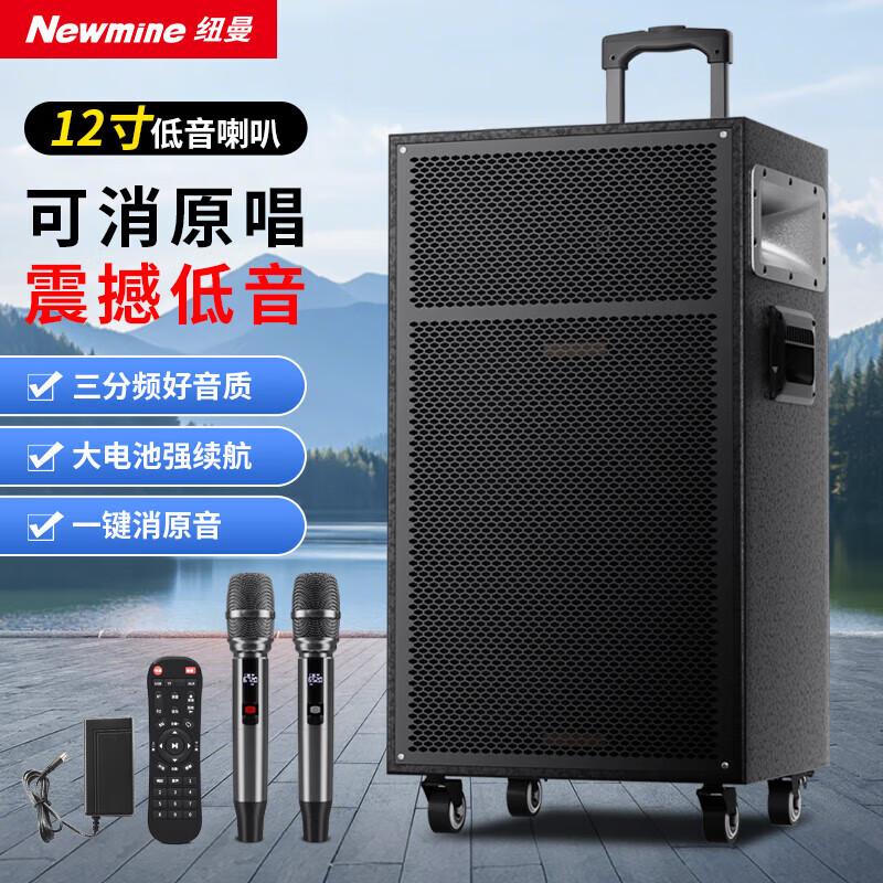 Newman N550 12-inch Outdoor Portable Bluetooth Speaker