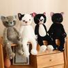 Japanese Funny Cat Plush Toy Doll Cross-border Personalized Stinky Face Cat Doll Simulation Cat Doll Gift