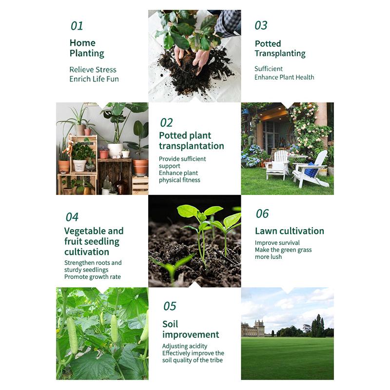 Compost Bacteria Solution for Roots Daily Crop Absorption Enhancer For Professional and Home Agriculture Purposes