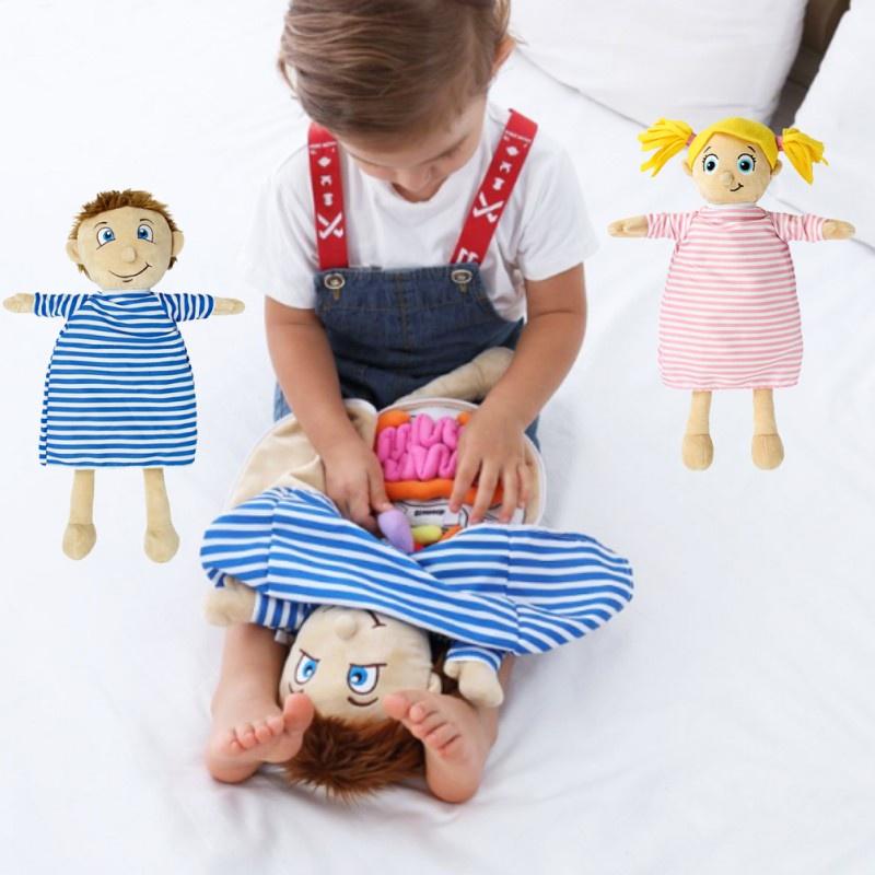 Children Cognitive Human Organ Body Structure Puzzle Plush Early Toys Education