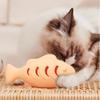 Silicone Fish Cat Toy: Self-Entertainment Bite Stick with Mint for Fun Kitten Play